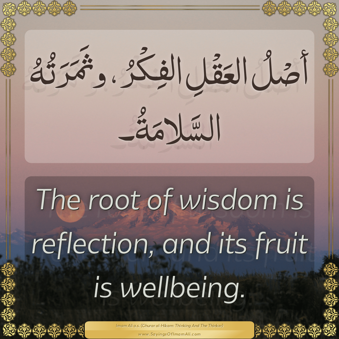 The root of wisdom is reflection, and its fruit is wellbeing.